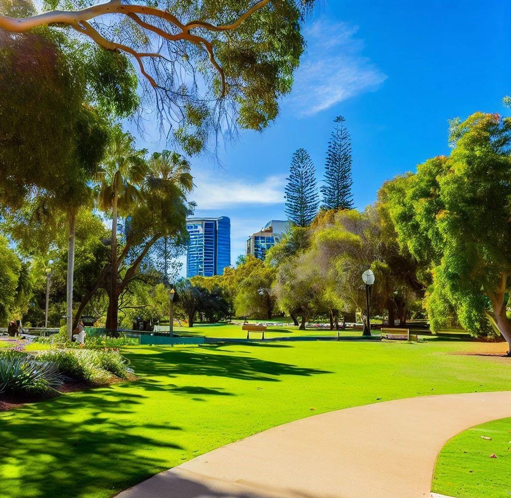 Park - Beautiful Perth City restored public spaces after rubble and rubbish removal Custom
